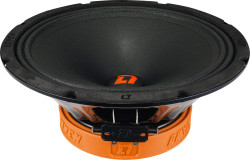 Автоакустика DL AUDIO RAVEN 250- фото