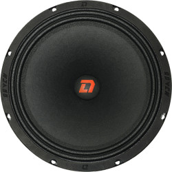 Автоакустика DL AUDIO RAVEN 250- фото2