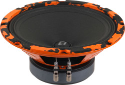 Автоакустика DL AUDIO GRYPHON PRO 200 SE- фото4