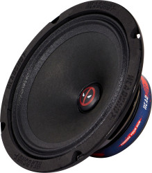 Автоакустика KICX HEADSHOT DPL65- фото2