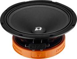 Автоакустика DL AUDIO PHOENIX SPORT 200- фото
